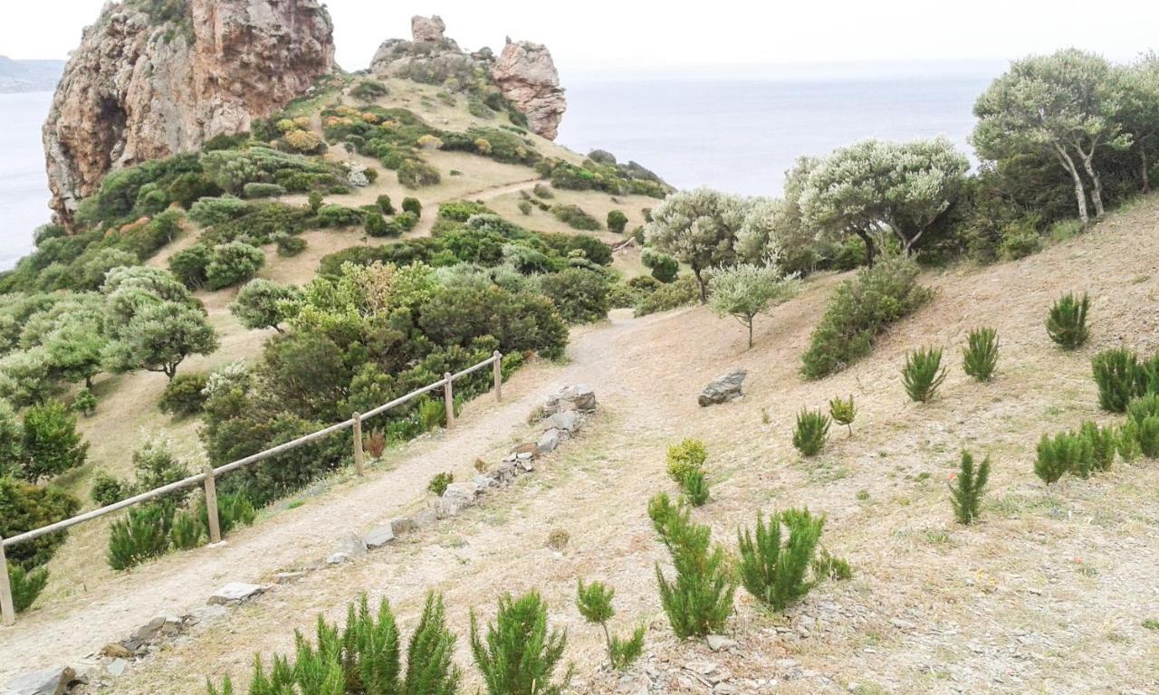 La Terrazza Fiorita Villa Nebida Luaran gambar